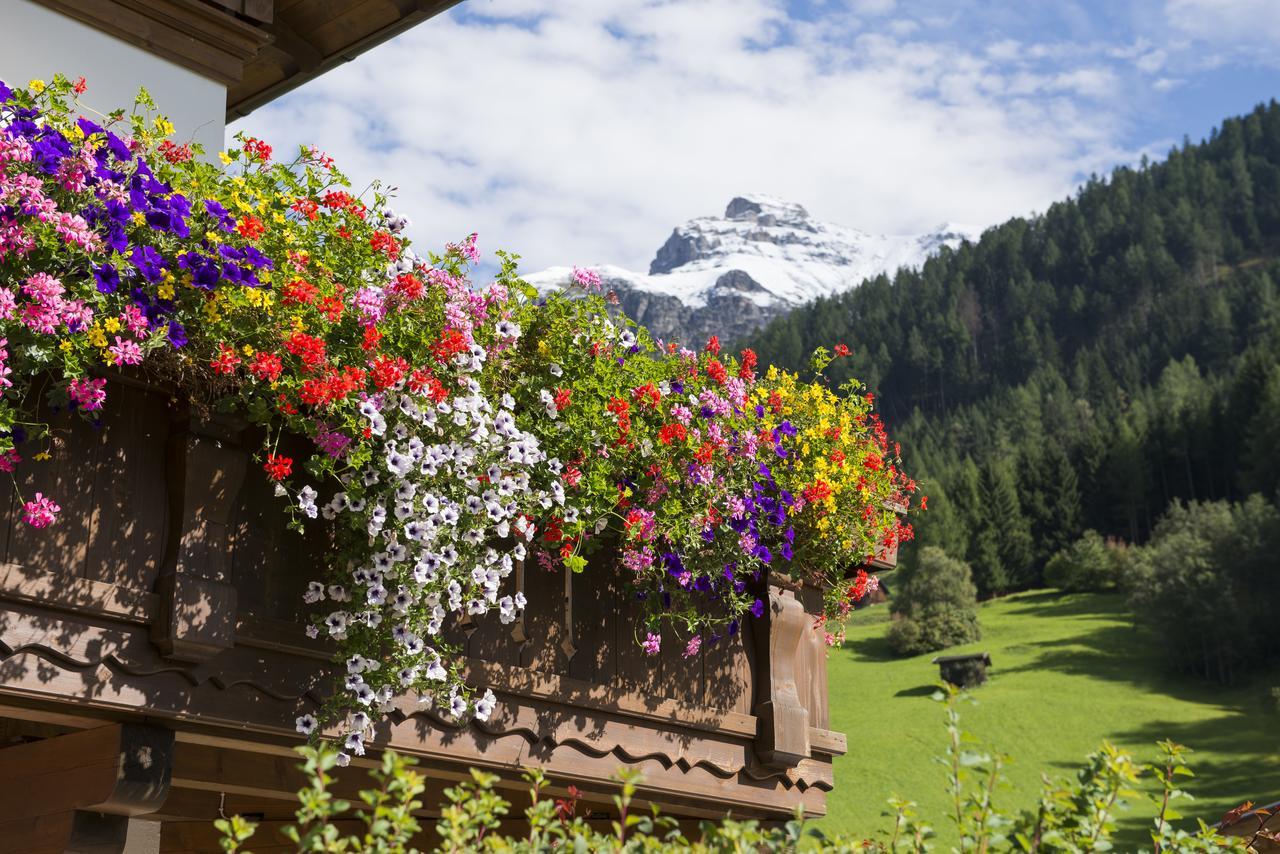 Hotel Haus Fernblick Neustift im Stubaital Exteriér fotografie